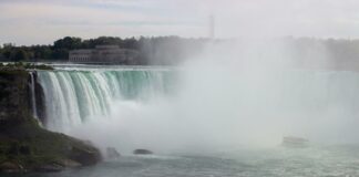 The Oneworldcolumn.org Blog: Discover Powerful Insights and Stories