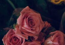 Center Pieces For A Wedding Nyt: Stunning Ideas To Wow Guests New Jersey News