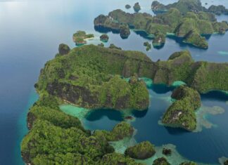 Rob Love Island Leaks: Shocking Secrets Fans Can’t Miss Today