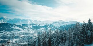 Crypto30x.com Ice: Unveiling Secrets To Skyrocket Your Crypto Gains Crypto30x.com Ice: Unveiling Secrets To Skyrocket Your Crypto Gains