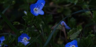 Veronica Keal: Discover The Secrets Behind Her Incredible Success