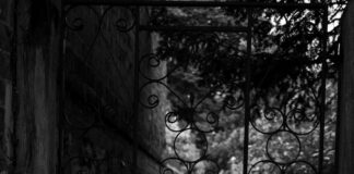 Kristen Archives: Unlock Hidden Secrets and Exclusive Insights Today