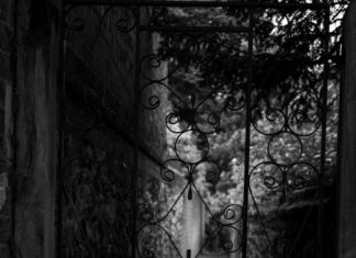 Kristen Archives: Unlock Hidden Secrets and Exclusive Insights Today