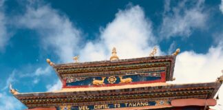 Welcome Post On GravityInternet.net: Discover What Awaits You