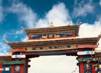 Welcome Post On GravityInternet.net: Discover What Awaits You