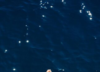 Cvcvoov Secrets Revealed: Unlock Powerful Tips for Success Today