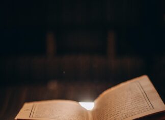 Kristen’s Archive Stories: Unlock Captivating Secrets You Must Read