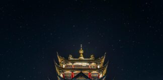 Chongqing 520m Building Secrets: Why It Stands Out Globally