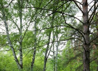 Today S72E173 Secrets Revealed: Unlock Exciting Hidden Insights Now