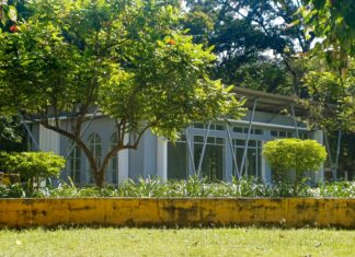 Tsumino Blog: Discover Hidden Manga Gems and Exclusive Insights