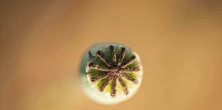 Nothing2Hide.net Salesforce Secrets: Unlock Powerful CRM Insights New Jersey News