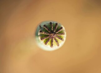 Nothing2Hide.net Salesforce Secrets: Unlock Powerful CRM Insights