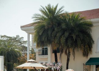 About ThriftyEvents.net: Discover How It Transforms Event Planning