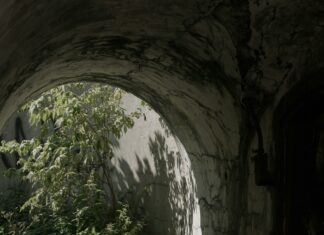 Flixtor.is: Unlock Hidden Streaming Gems With This Ultimate Guide