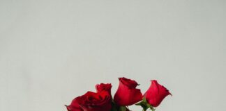 Flowers With Love Meanings: Discover Secrets Behind Romantic Blooms