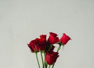 Flowers With Love Meanings: Discover Secrets Behind Romantic Blooms