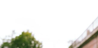 Whatutalkingboutwillis.com Secrets Revealed: Why It’s Trending Now