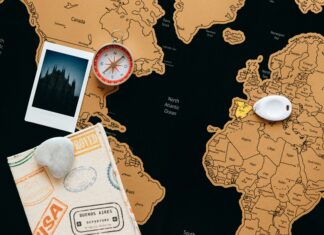 Koalageddon V1: Discover The Ultimate Guide To Epic Adventures