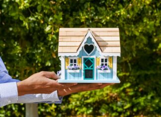 Where To Buy Yell51x-Ouz4 Model: Ultimate Guide For Shoppers