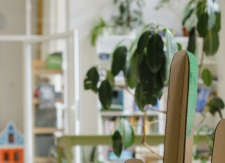 Kim Carton Secrets Revealed: How To Unlock Success And Inspire Growth