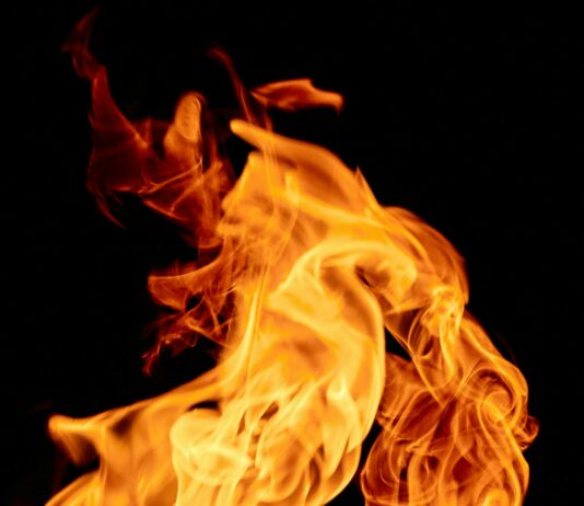 Westinghouse FA3020PF-R Review: Powerful Features You Must Know New Jersey News