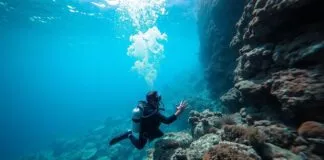 Exploring Turkey's Underwater Wonders: A Diver's Paradise