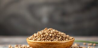 The Global Rise of Chia Seeds: Advantages, Risks, and Market Trends