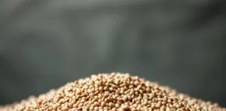 The Rise of Chia Seeds: A Revolution in Sustainable Farming