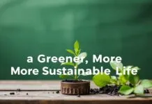 10 Daily Habits for a Greener, More Sustainable Life