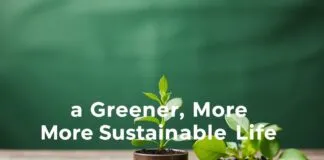10 Daily Habits for a Greener, More Sustainable Life