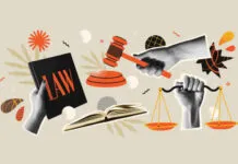 The Evolution of Partnership Models in U.S. Investment Firms: Balancing Tradition with Modern Governance