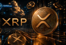 XRP coin and SHRMiner cloud mining data center