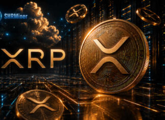 XRP coin and SHRMiner cloud mining data center